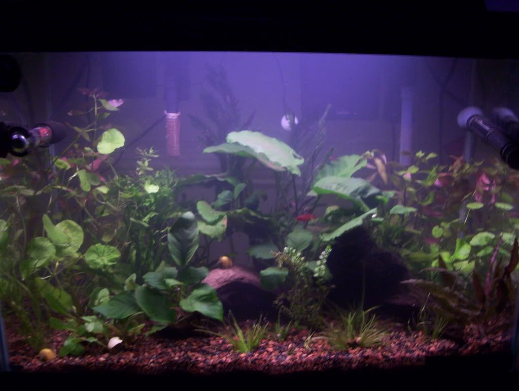 100_4633.jpg