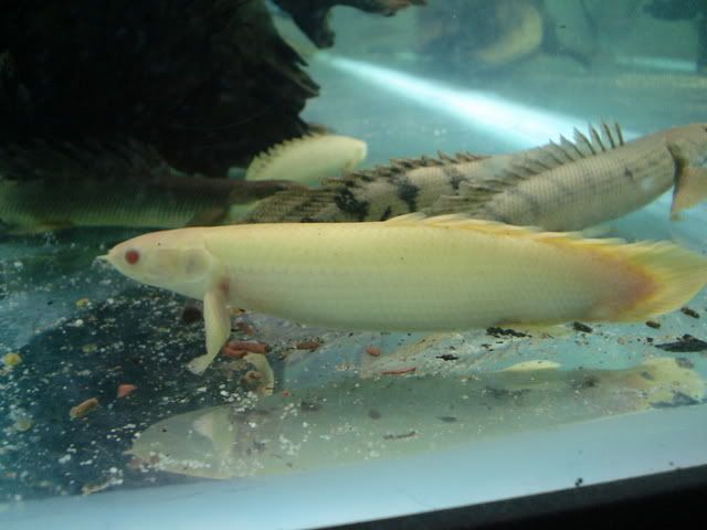 DSC06742.jpg