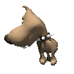 big_headed_tiny_dog_chasing_tail_md.gif