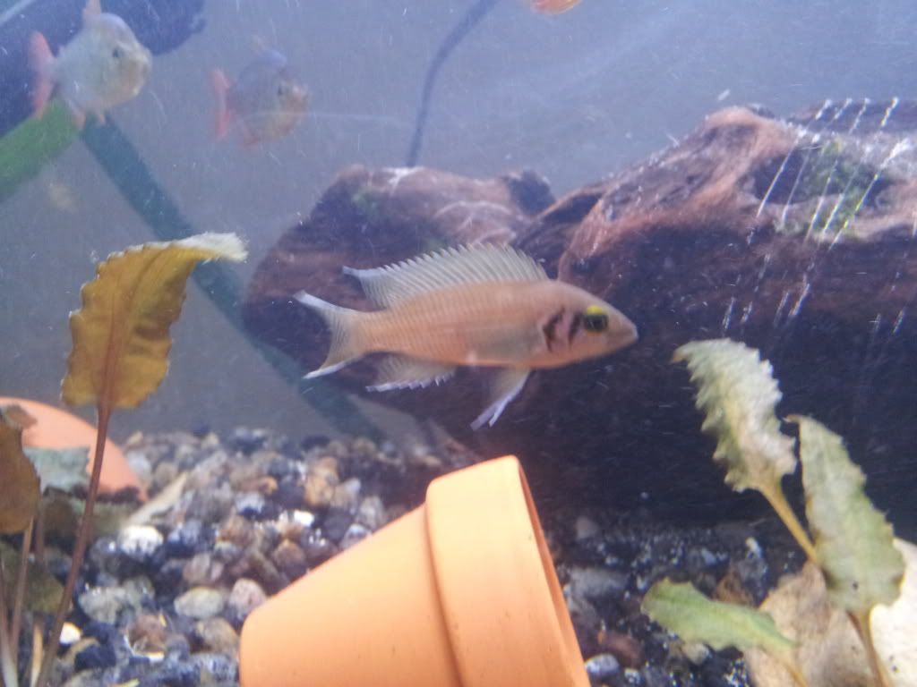 20121118_191148.jpg