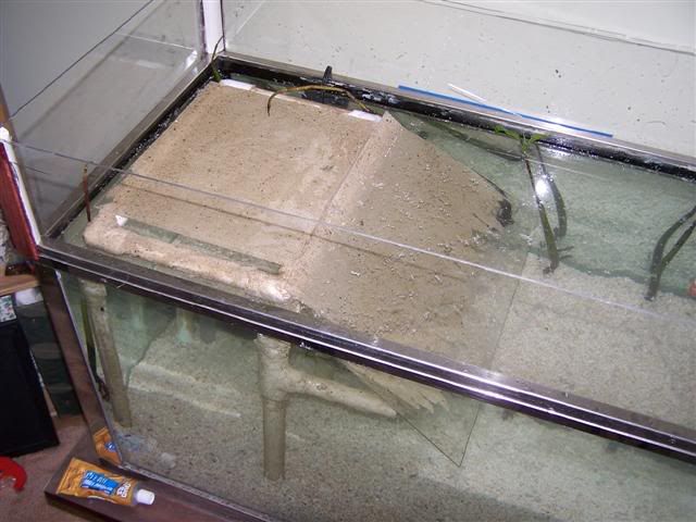 100_0615Small.jpg