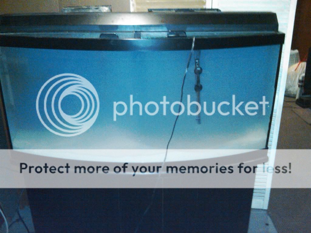 IMG00091-20100209-1720.jpg