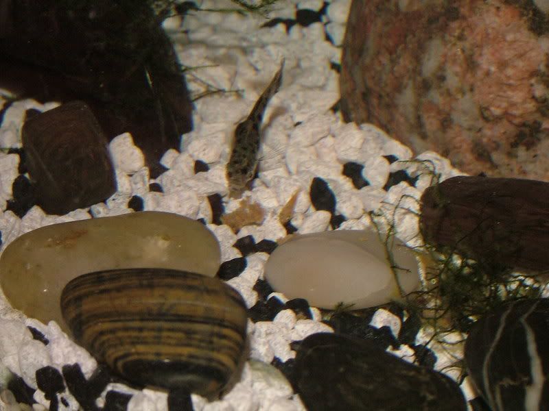 DSCF8117.jpg