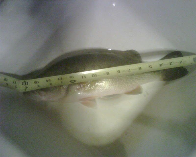 IMG00191.jpg