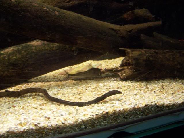 picture050.jpg