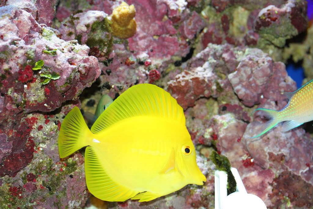 IMG_2084bucket.jpg