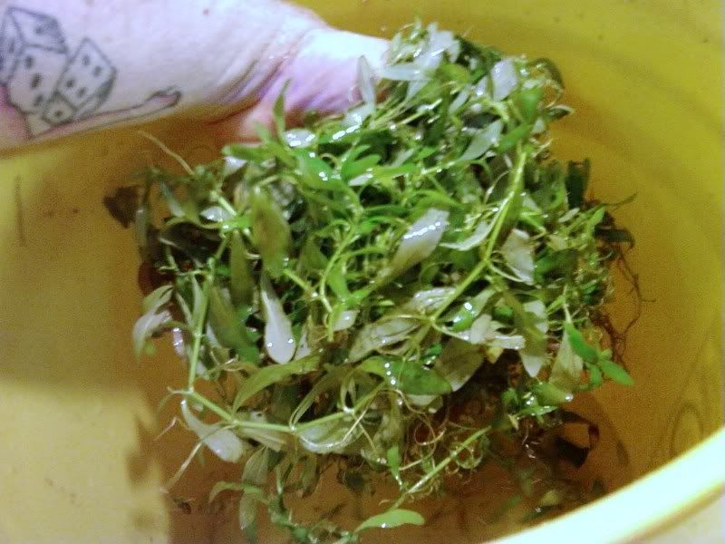 1206080924-00.jpg