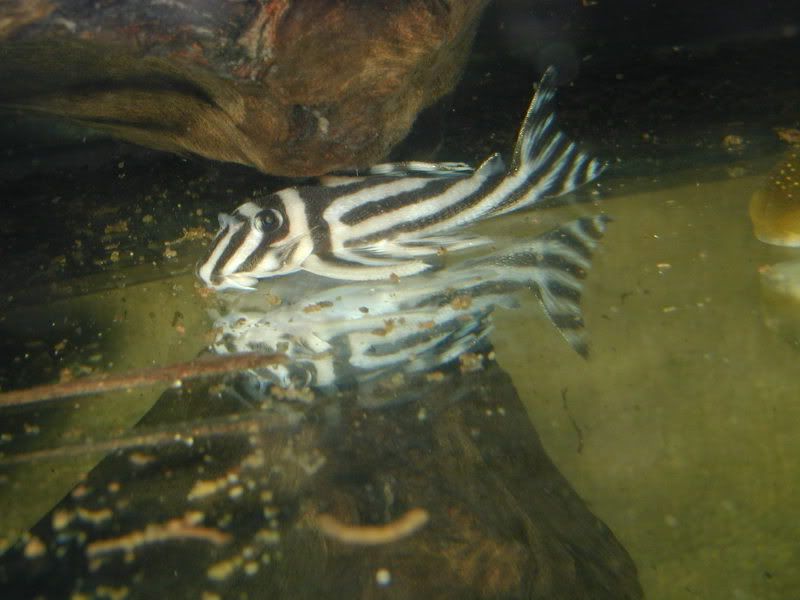 023e138c.jpg