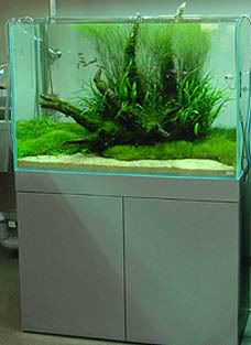Lightsubstrate.jpg
