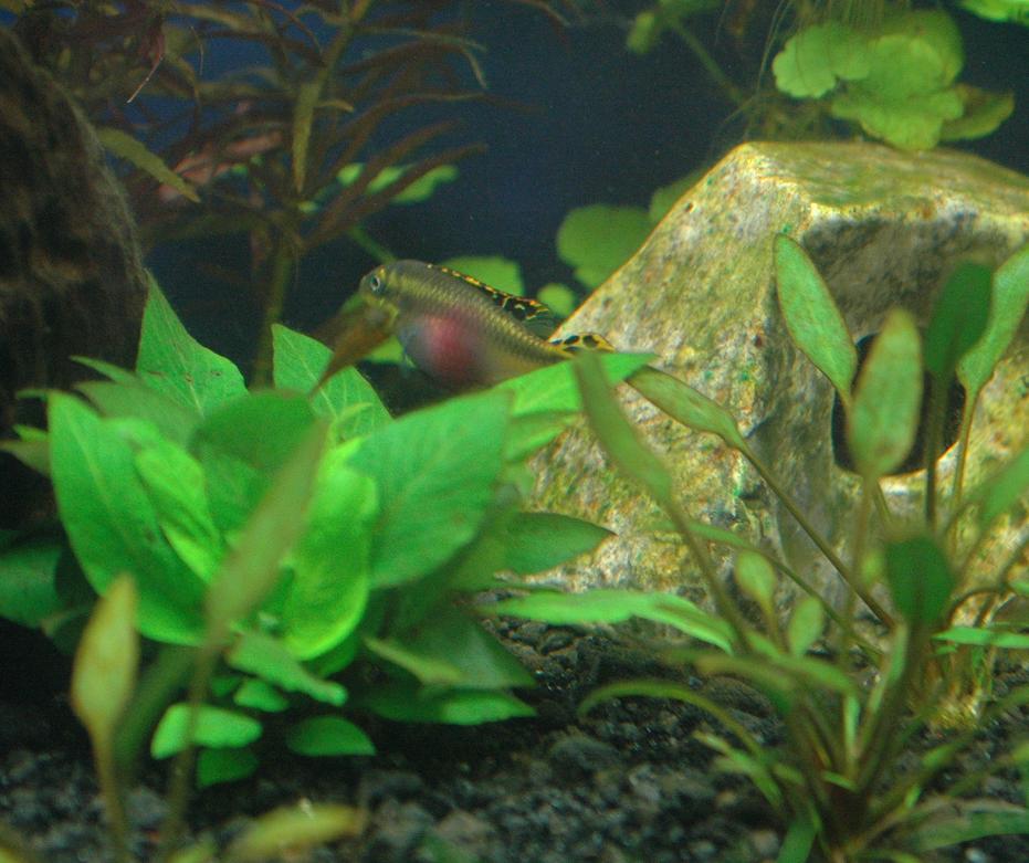DSC_2587.JPG