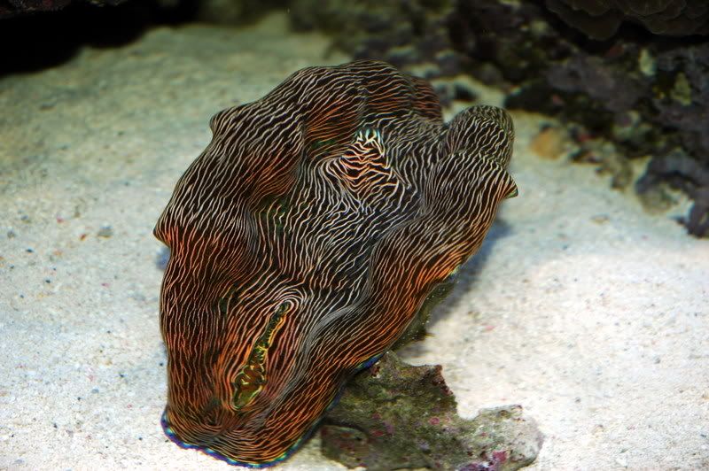 DSC_3333.jpg