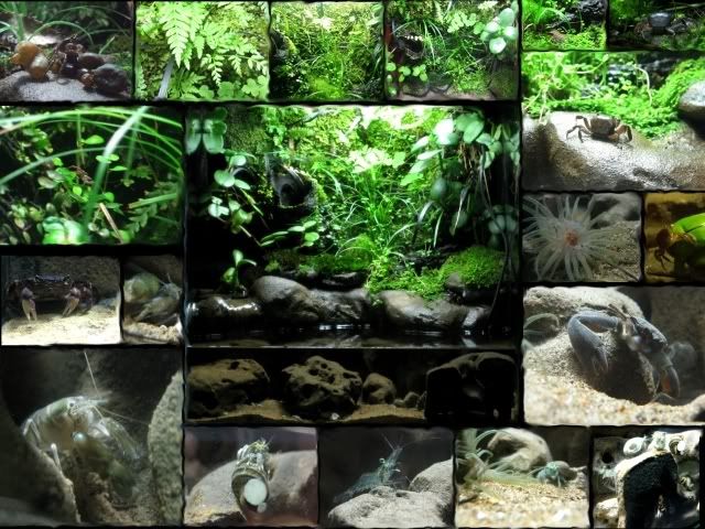 backgroundsmall.jpg