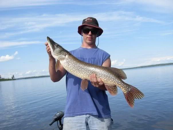pike.jpg