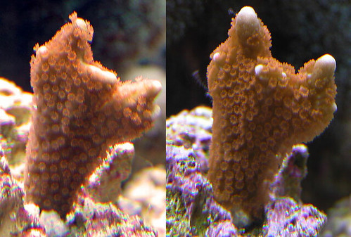 3136899870_010b0c75aa.jpg