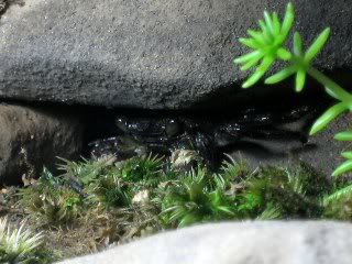 c6_320x240.jpg