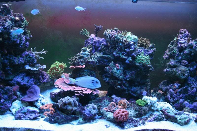 tankupdatefeb10046.jpg