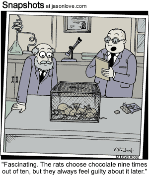 00348-daily-cartoons-chocolate.gif