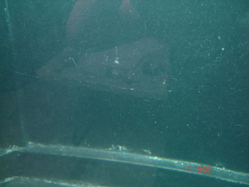 DSC02895.jpg