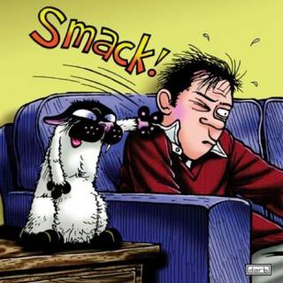 bucky8uq.jpg