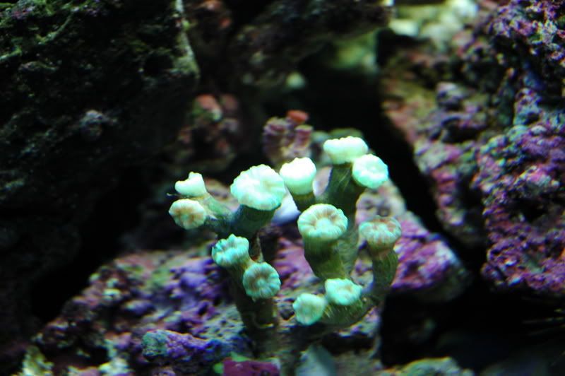 DSC_0016.jpg