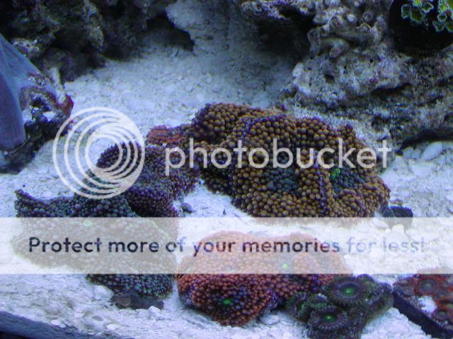 P1010006-24.jpg