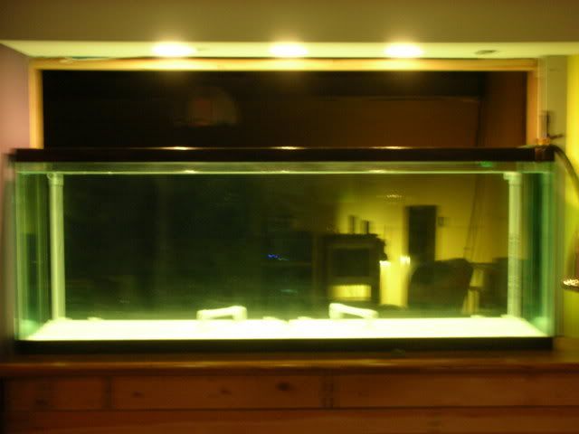 DSCN0731.jpg