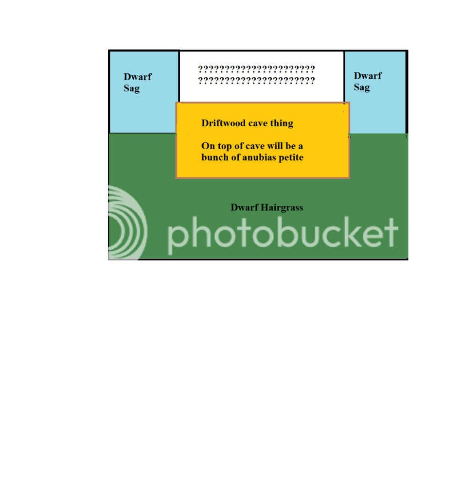 Layout.png