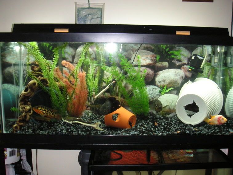 PICT0012.jpg