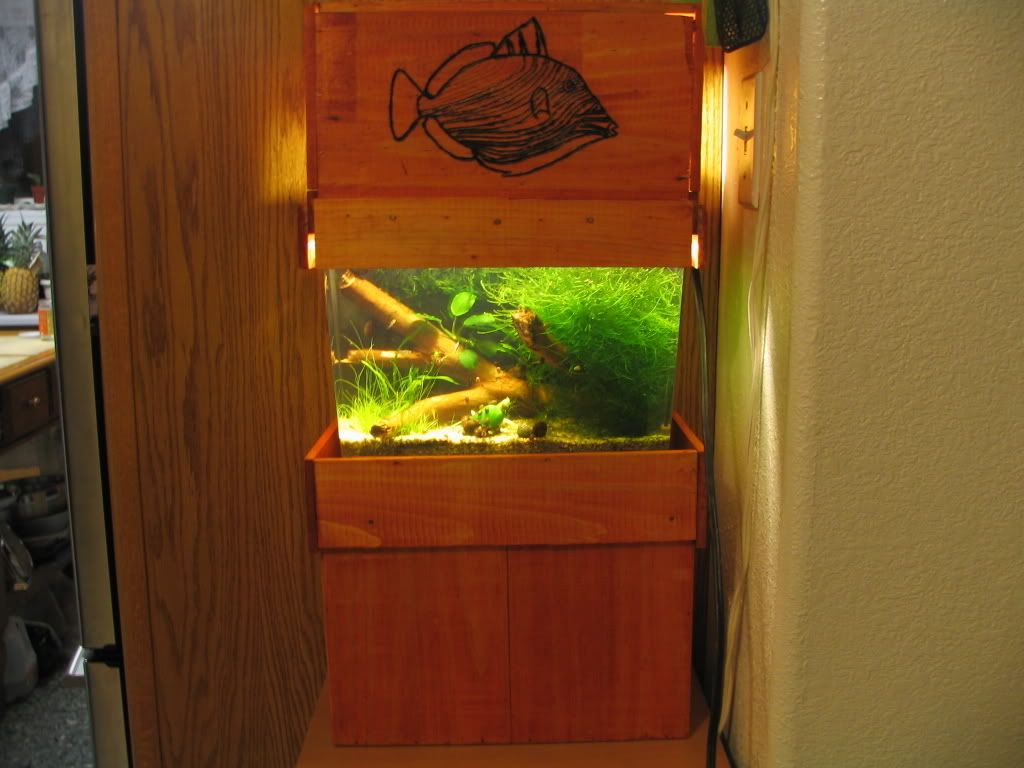 Ocean569.jpg