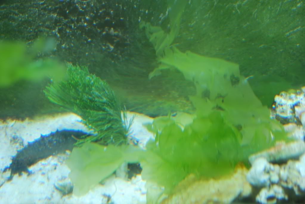 DSC_0014.jpg