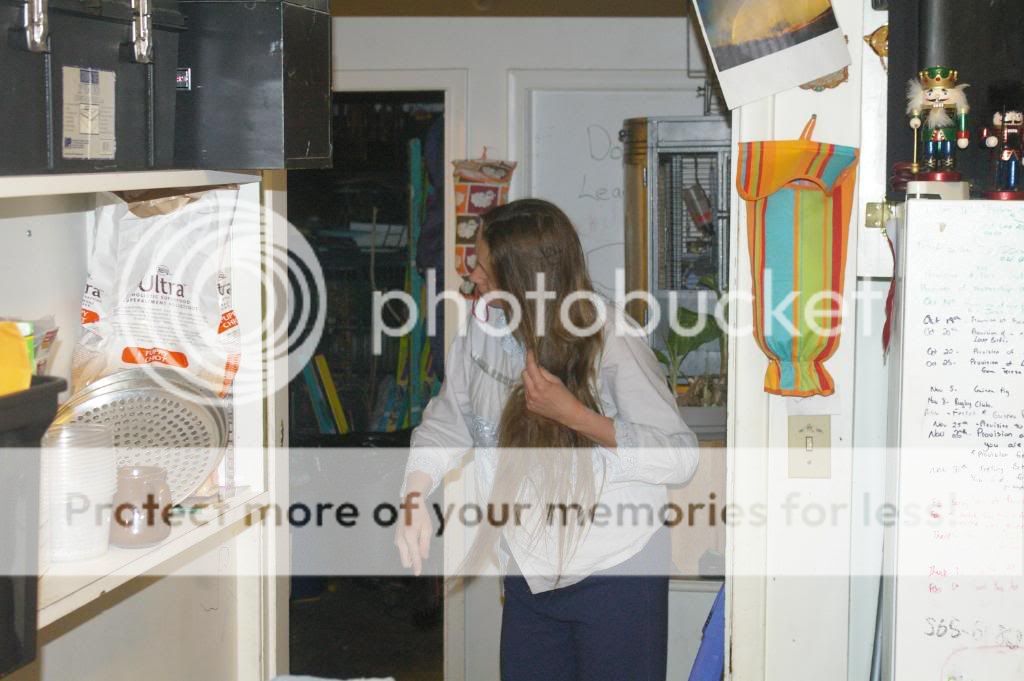 IMGP6617.jpg