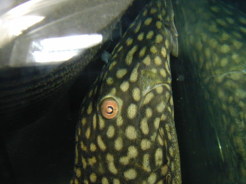 d71a90bf.jpg