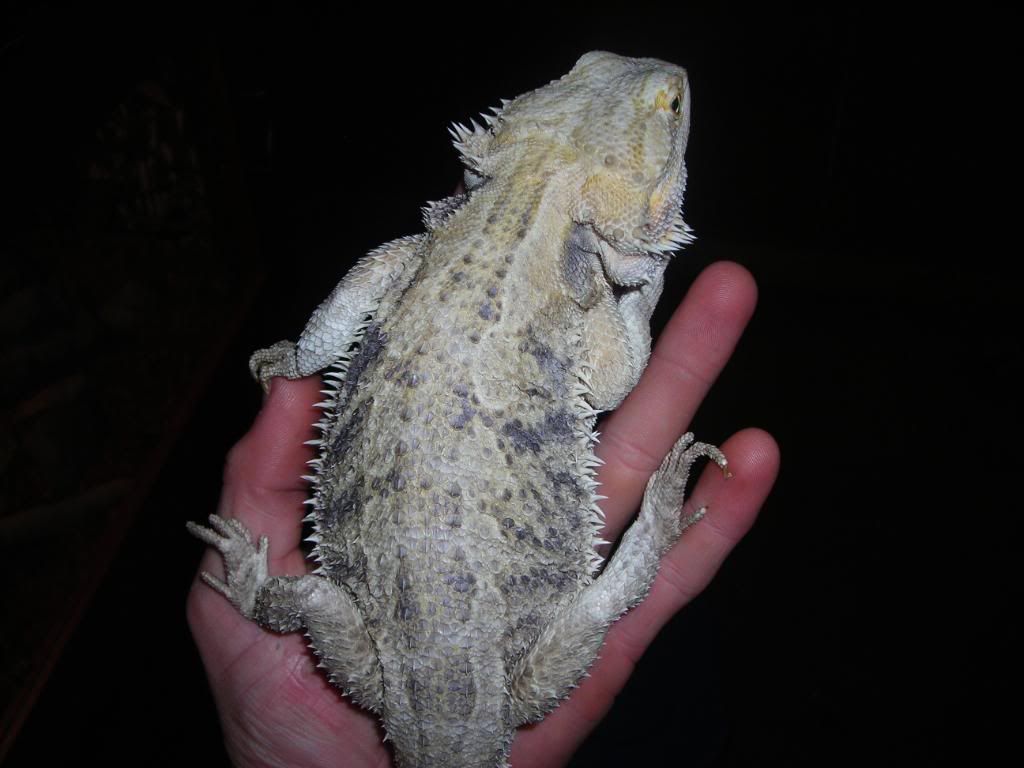 DSCN3488.jpg