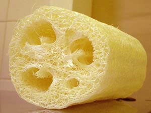 stop-sweat-loofah-sponge.jpg