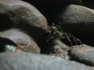 c3_320x240.jpg