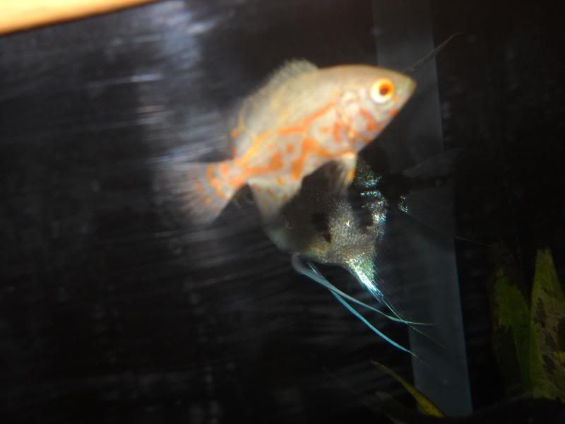 DSCN2831.jpg