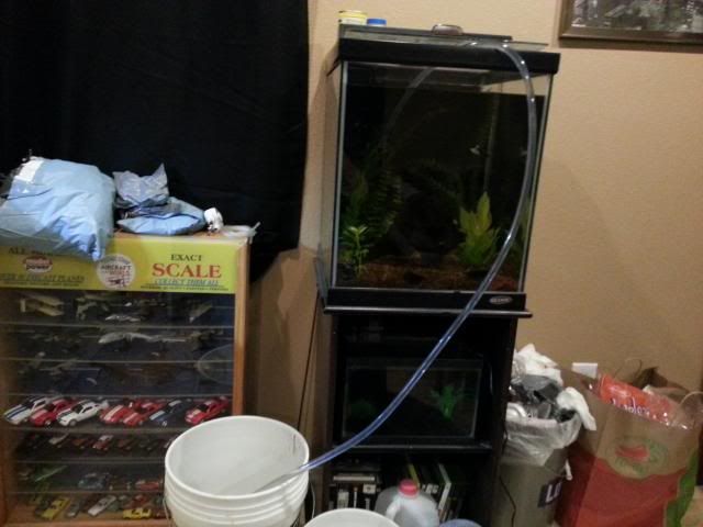 2013-08-25172603_zps37bc46ad.jpg