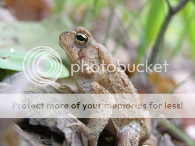 DSCN4040.jpg
