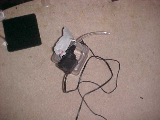 poopscooper.jpg