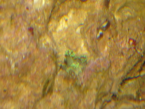 2350774877_a771d996c0.jpg