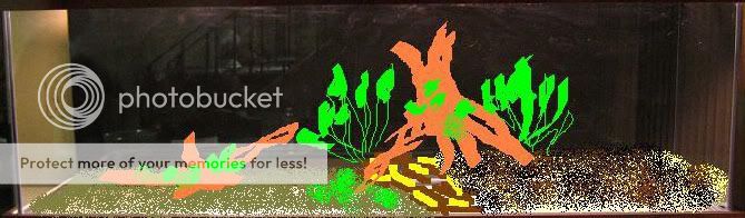 edit2.jpg