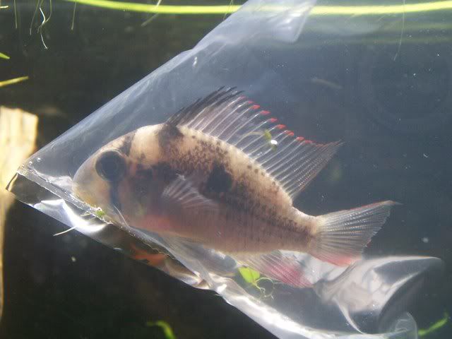 100_3738.jpg
