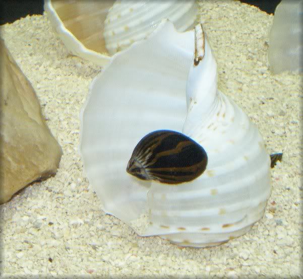 5-8-10002.jpg