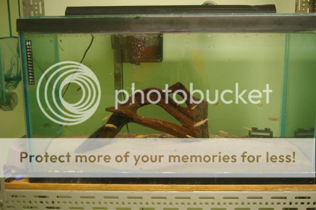 IMGP6693.jpg
