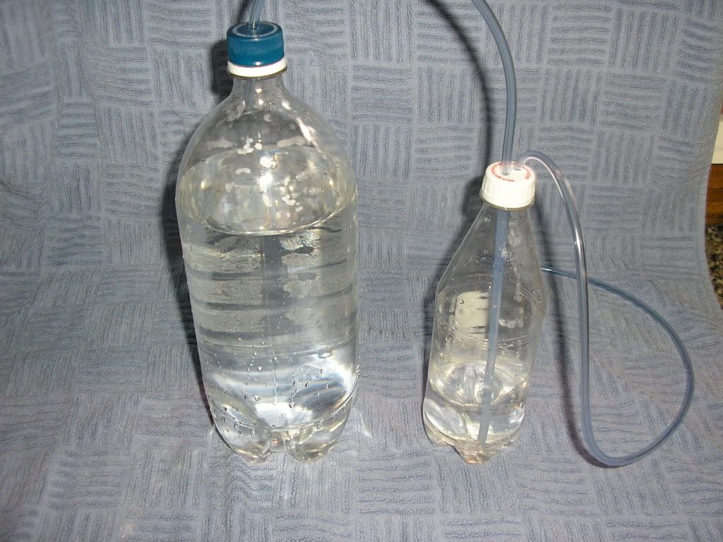 Picture220.jpg