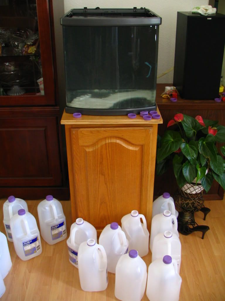 Picture1129.jpg