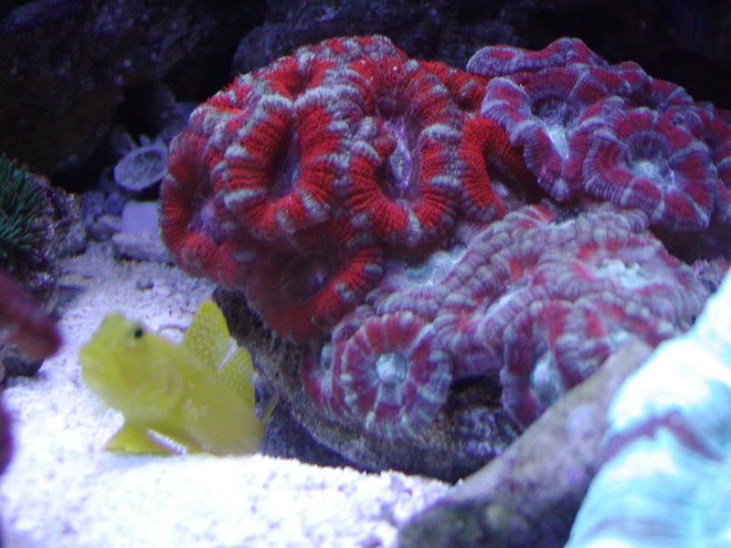P1010006-10.jpg