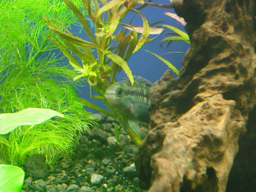 DSCF0401.JPG