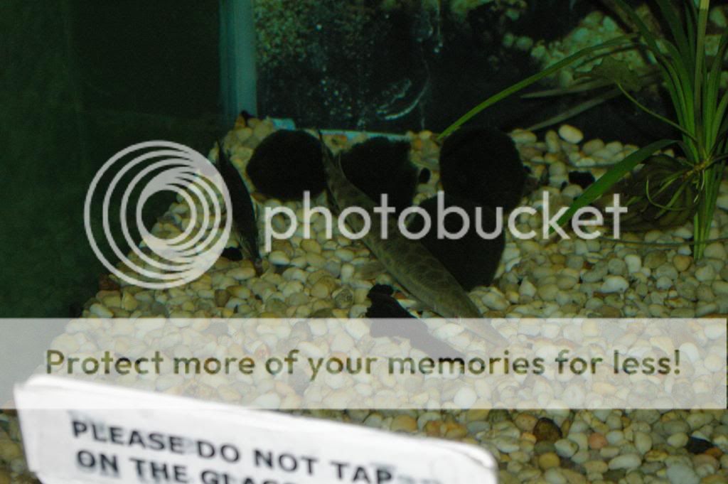 IMGP6271.jpg