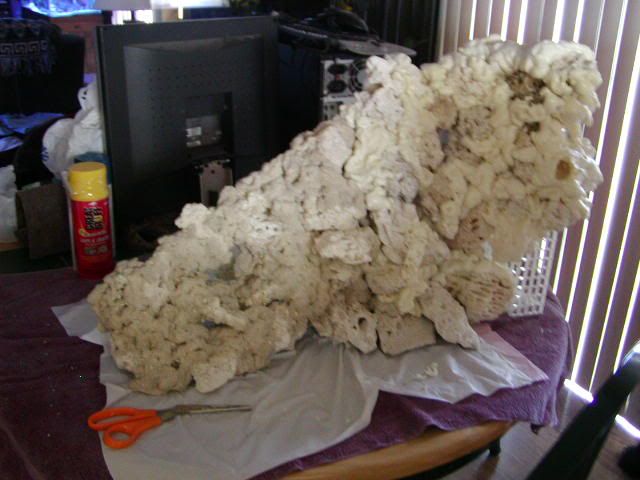 P1010007-22.jpg